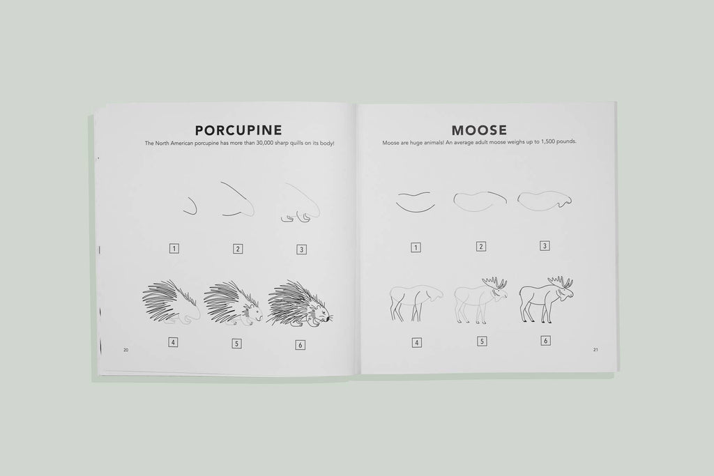 Mushrooms & Woodland Creatures: Kids How to Draw Book