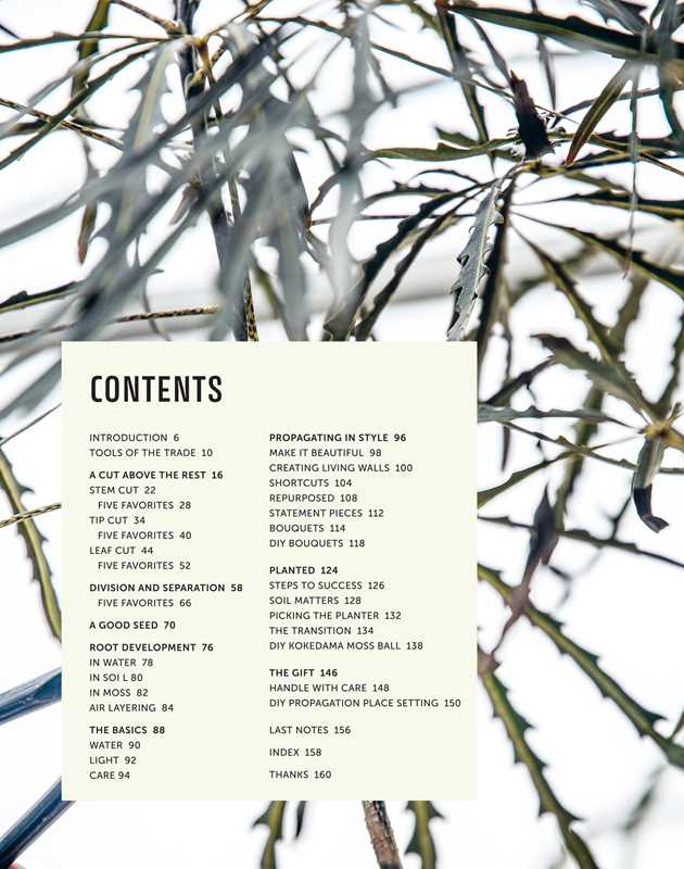 Propagation Handbook by Hilton Carter