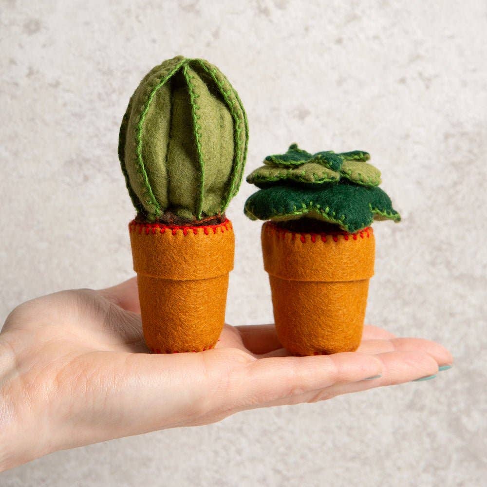 Felt Craft Kit - Easy Care Cactus
