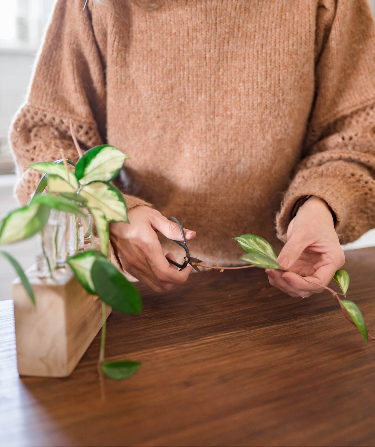 Wood Plant Propagation Stand | Made In USA