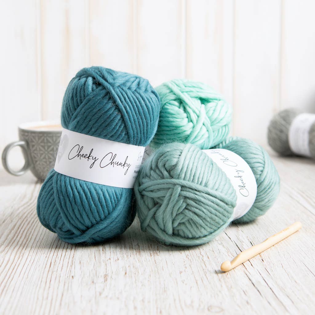 Cheeky Chunky Yarn 100g Ball