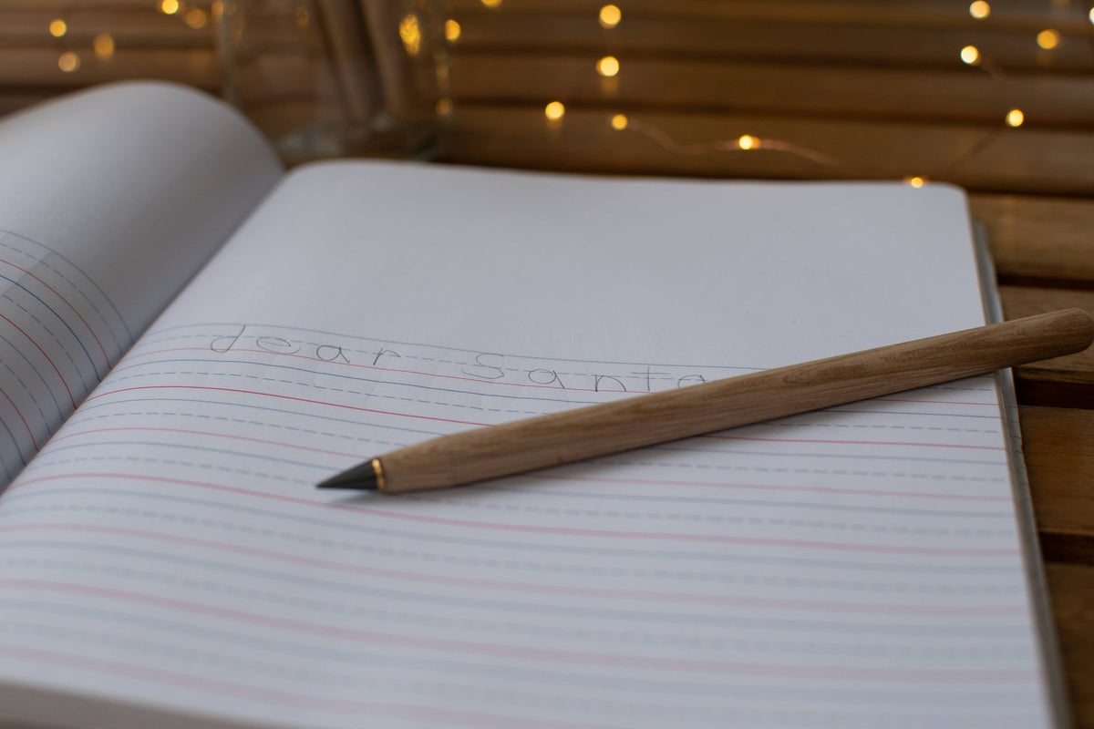 Everlasting Pencil Replacement Tip