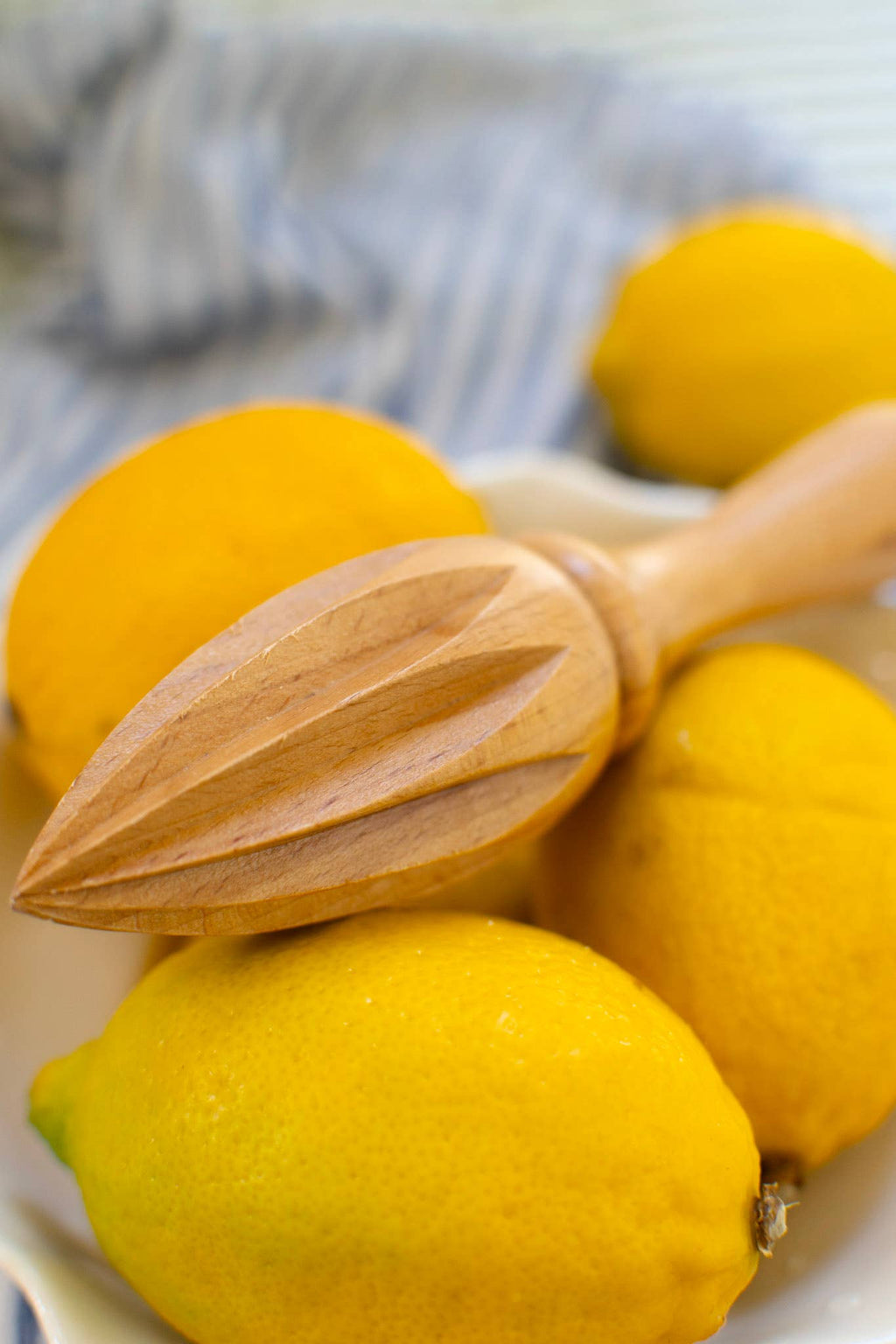 Citrus juicer - Beech Wood
