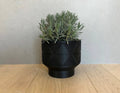 Lightweight Planter Pot | Black | 4", 6" and 8" Sizes