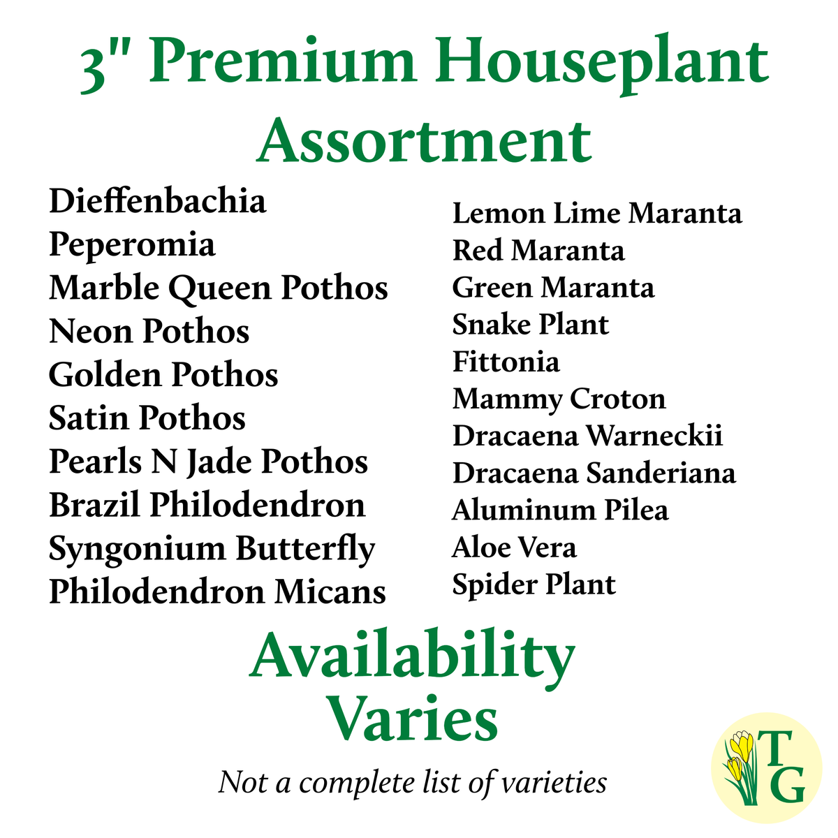 Grower's Choice Houseplant Assortment - 3" Live Plants