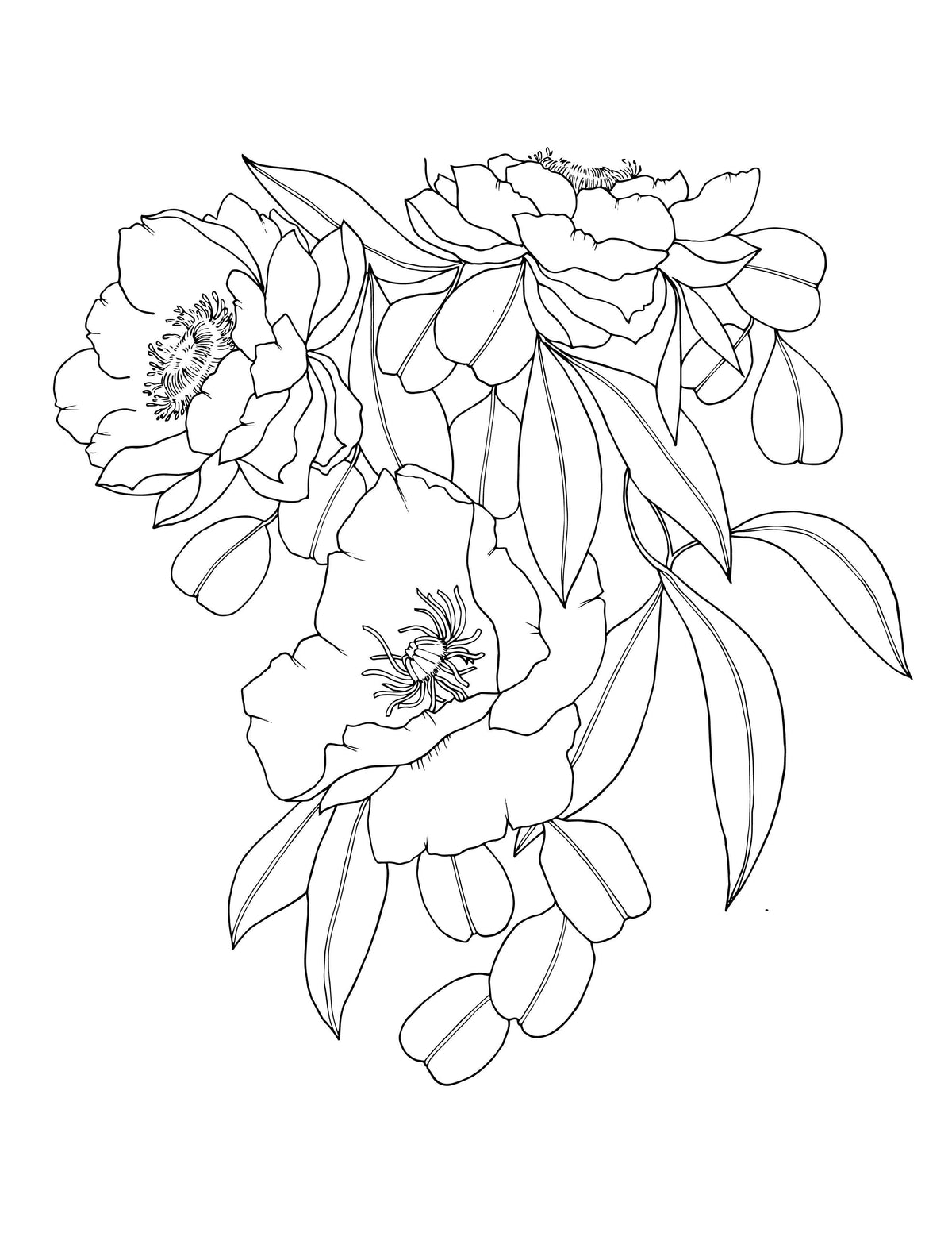 The Plant Lady: A Floral Adult Coloring Book