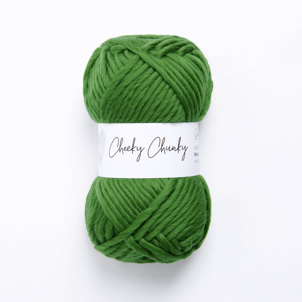 Cheeky Chunky Yarn 100g Ball
