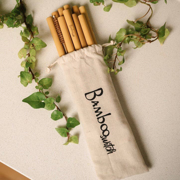Set of 10 Bamboo Straws & Coconut Fiber Straw Cleaner Set