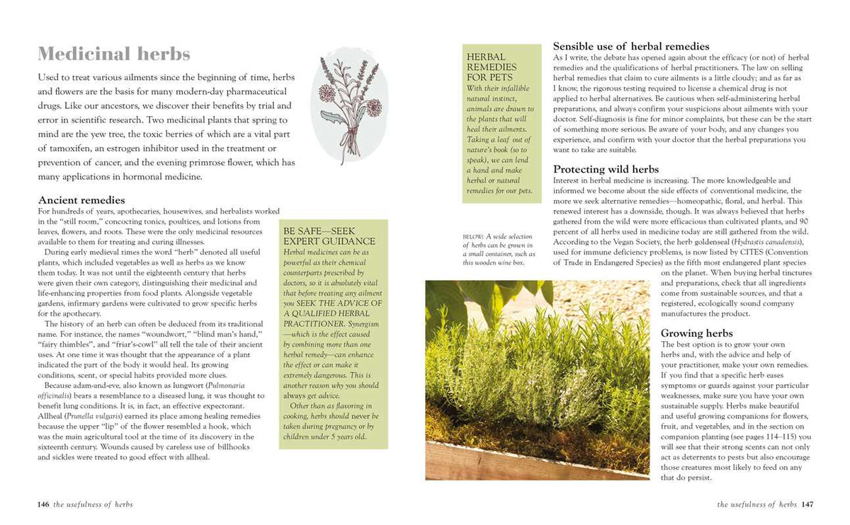 Green Housekeeping by Christina Strutt