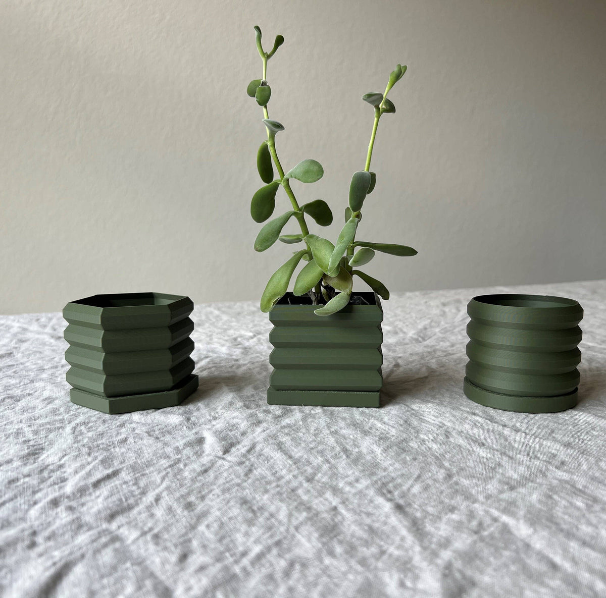 Set of Succulent Planters | Olive Green | 2"