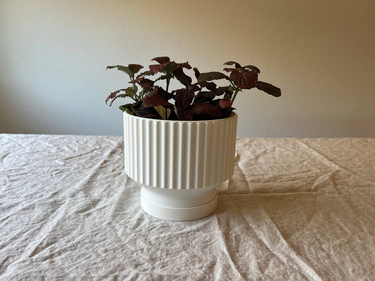 Lightweight Planter Pot | White | 4", 6" and 8" Sizes
