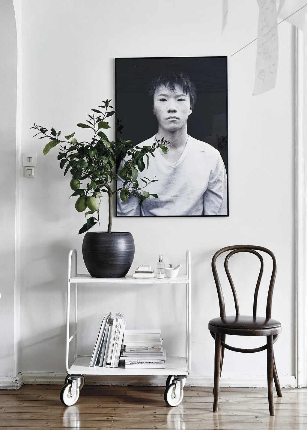 Green Home Book