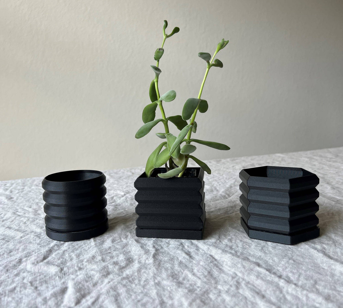 Set of Succulent Planters | Olive Green | 2"