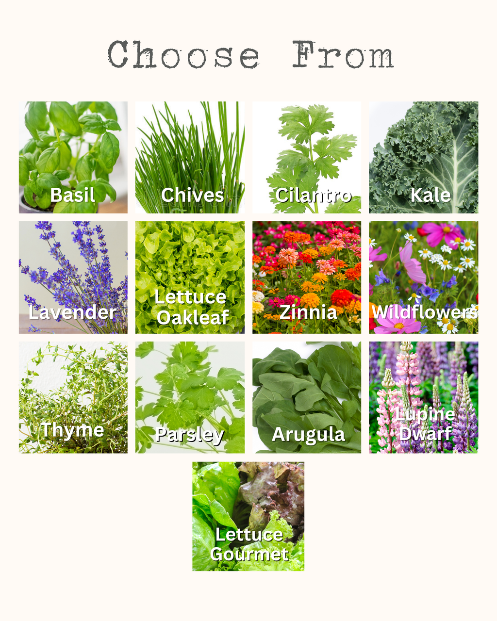 Glass Jar Semi-Hydroponic Garden Kit