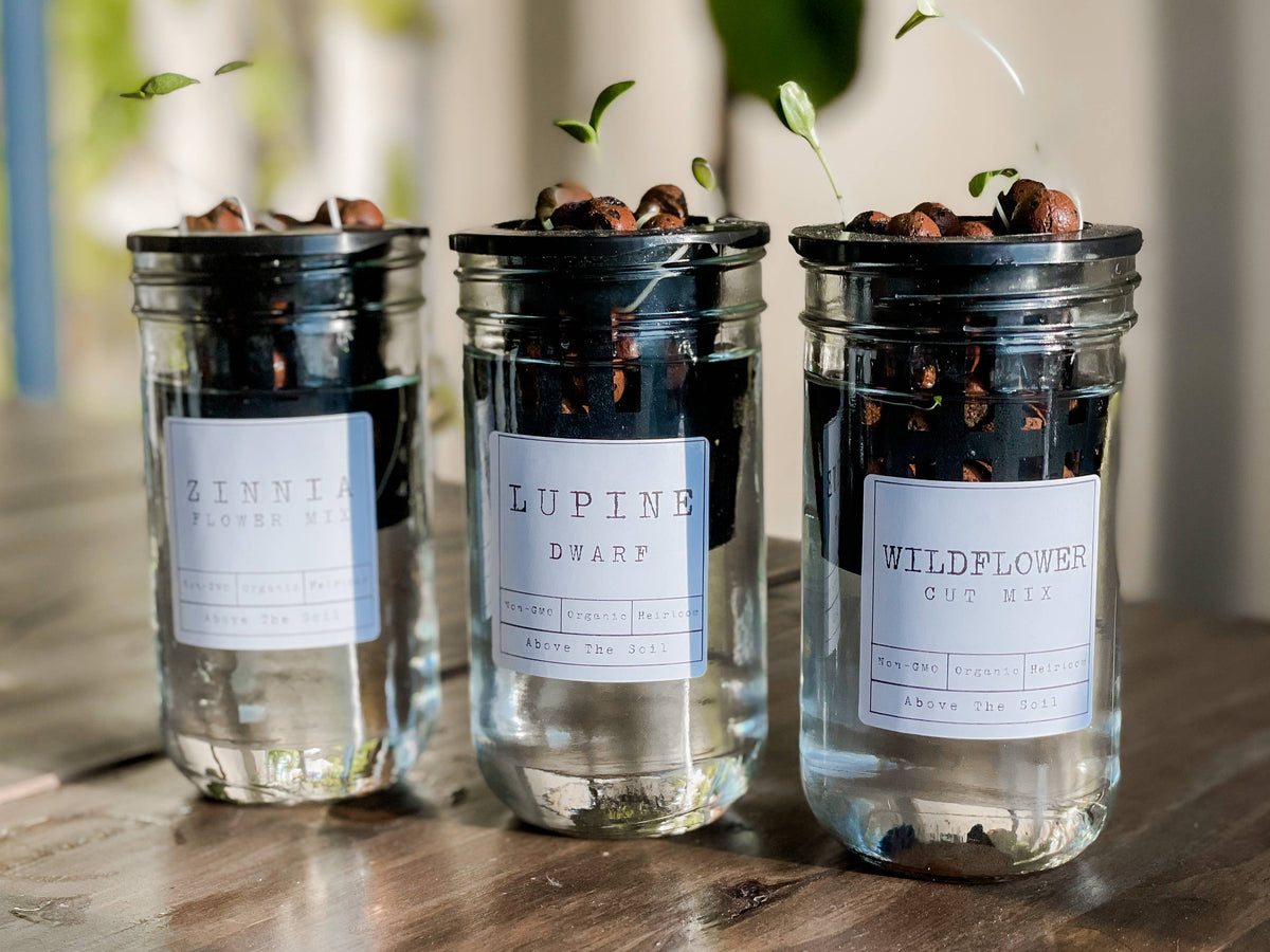 Glass Jar Semi-Hydroponic Garden Kit