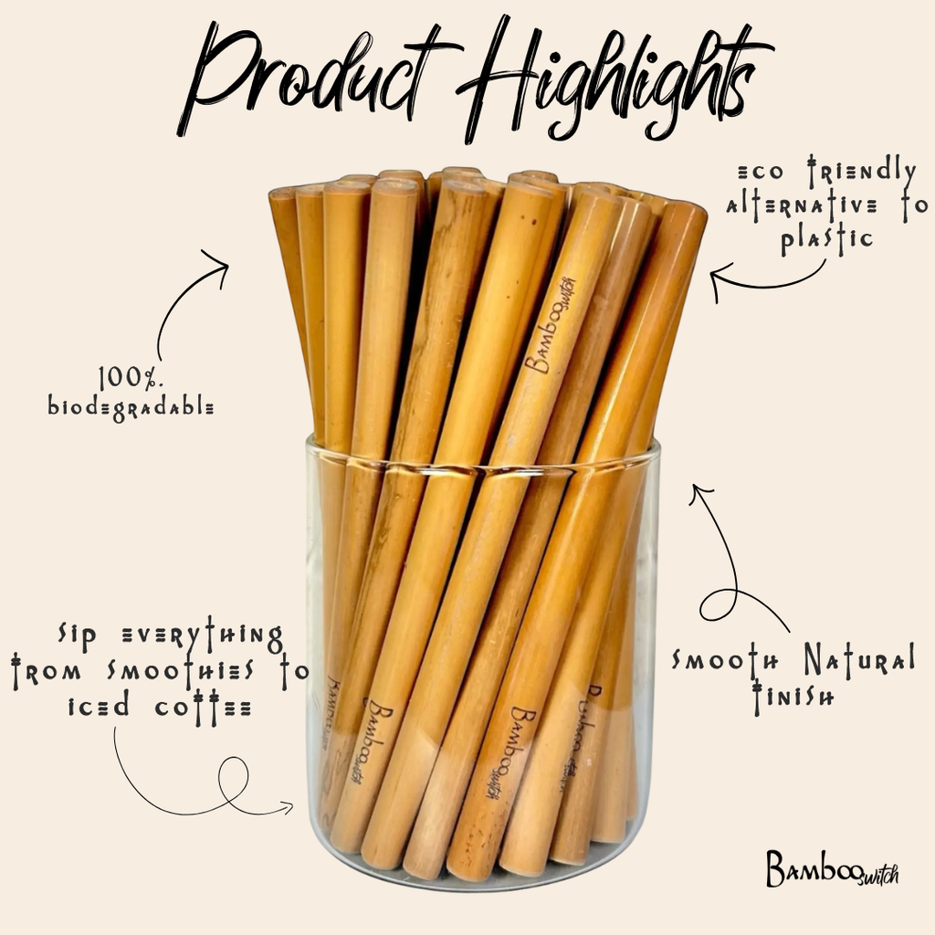 Set of 10 Bamboo Straws & Coconut Fiber Straw Cleaner Set