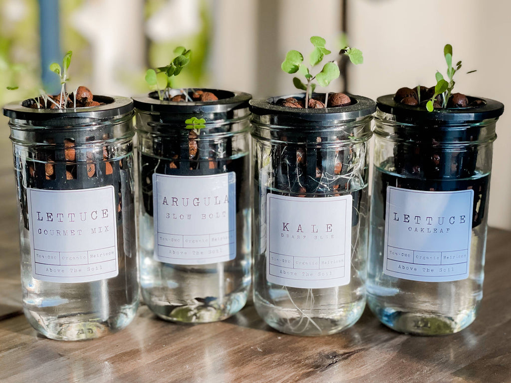 Glass Jar Semi-Hydroponic Garden Kit