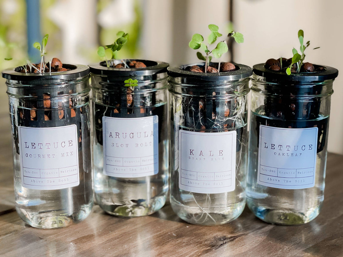 Glass Jar Semi-Hydroponic Garden Kit