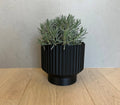 Lightweight Planter Pot | Black | 4", 6" and 8" Sizes