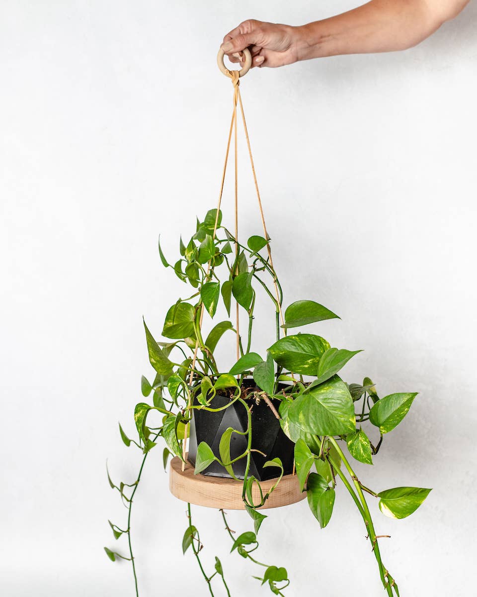 Reclaimed Wood Hanging Plant Hanger | Made in USA