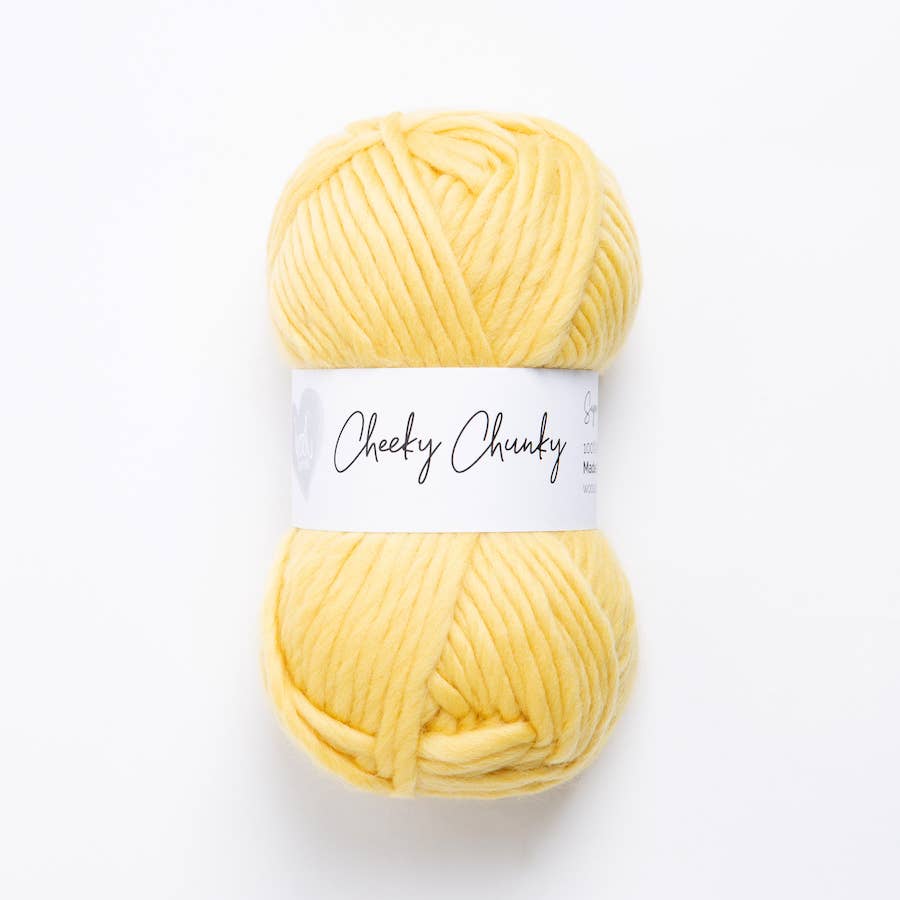 Cheeky Chunky Yarn 100g Ball