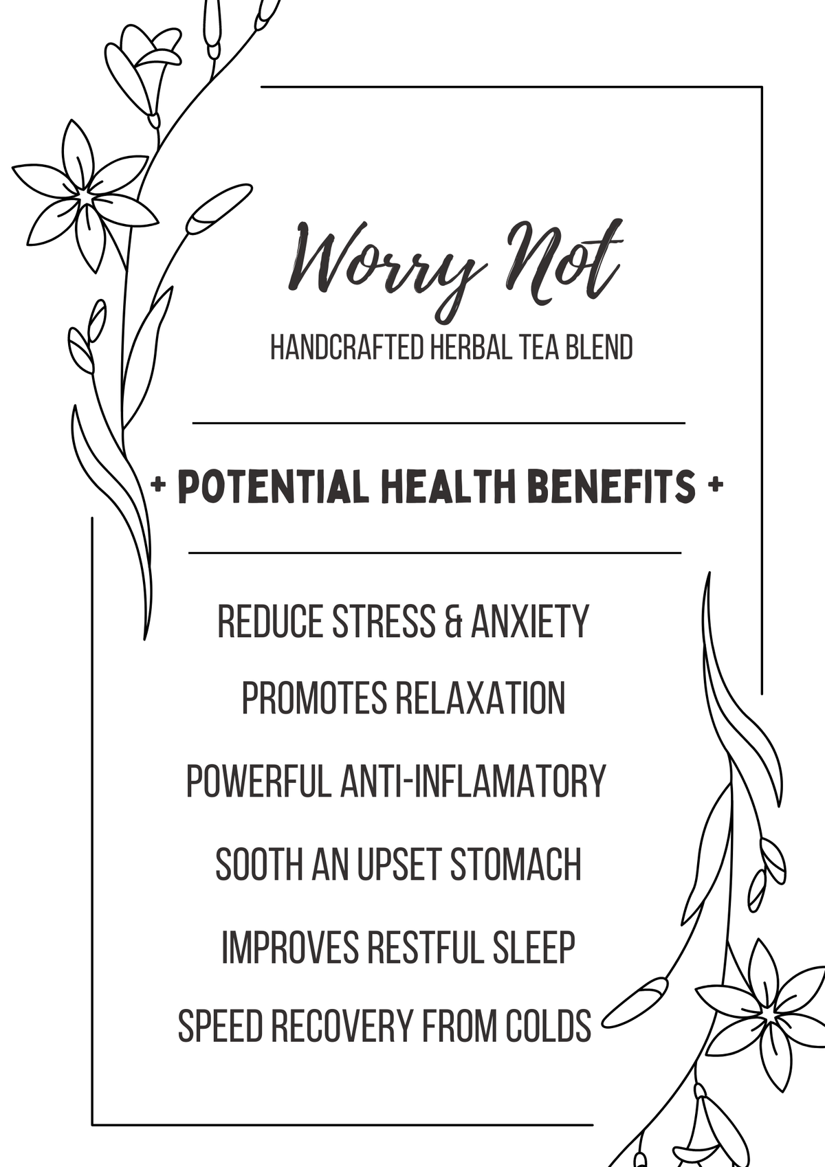 Worry Not -  Handcrafted Herbal Tea Blend